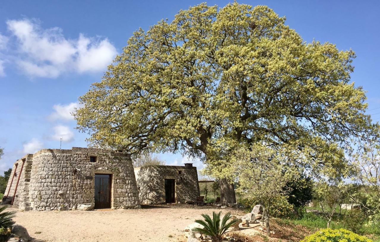Agriturismo Le Fornelle Tricase Zewnętrze zdjęcie